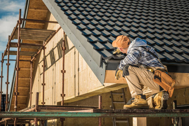 Best Gutter Replacement  in Coaldale, PA